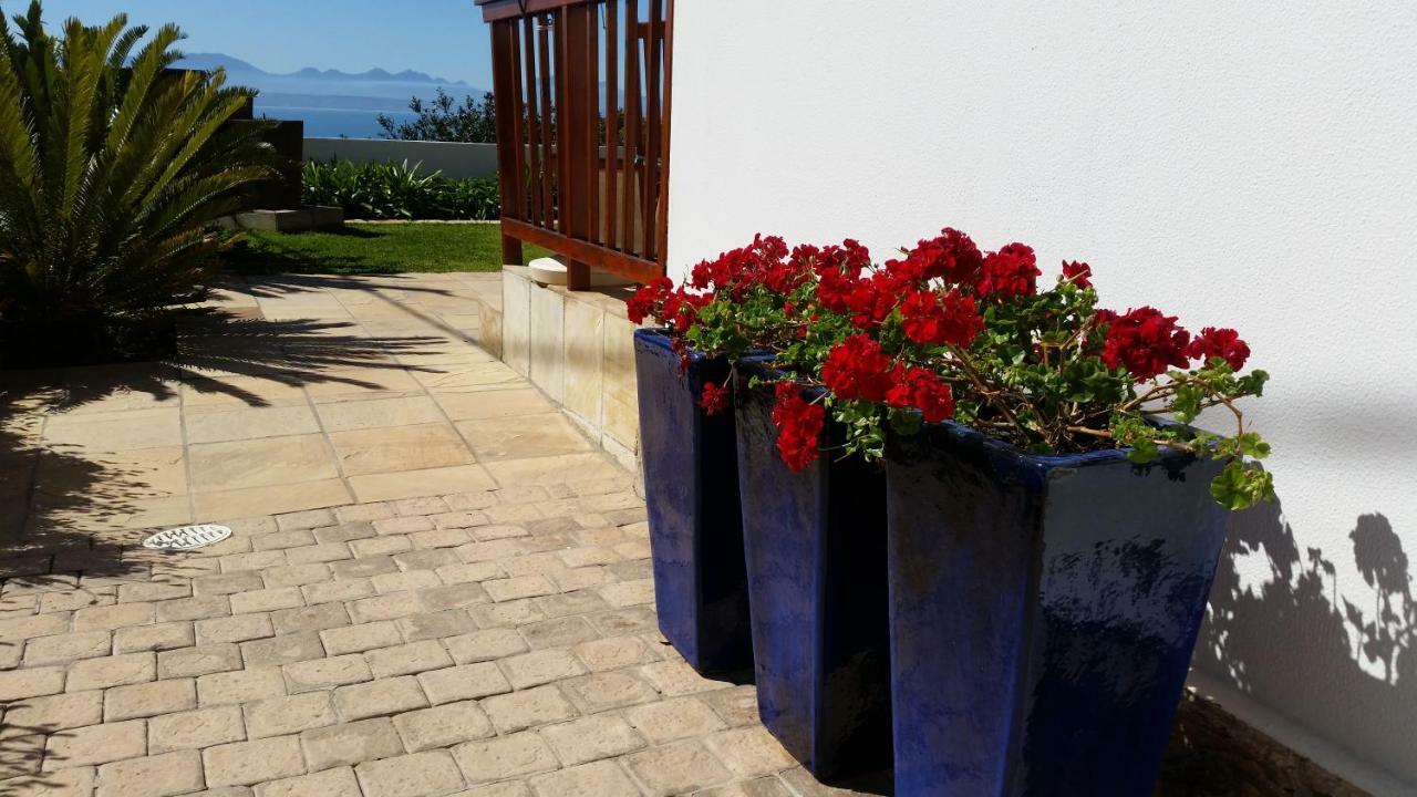 Aquamarine Guest House Mossel Bay Eksteriør billede