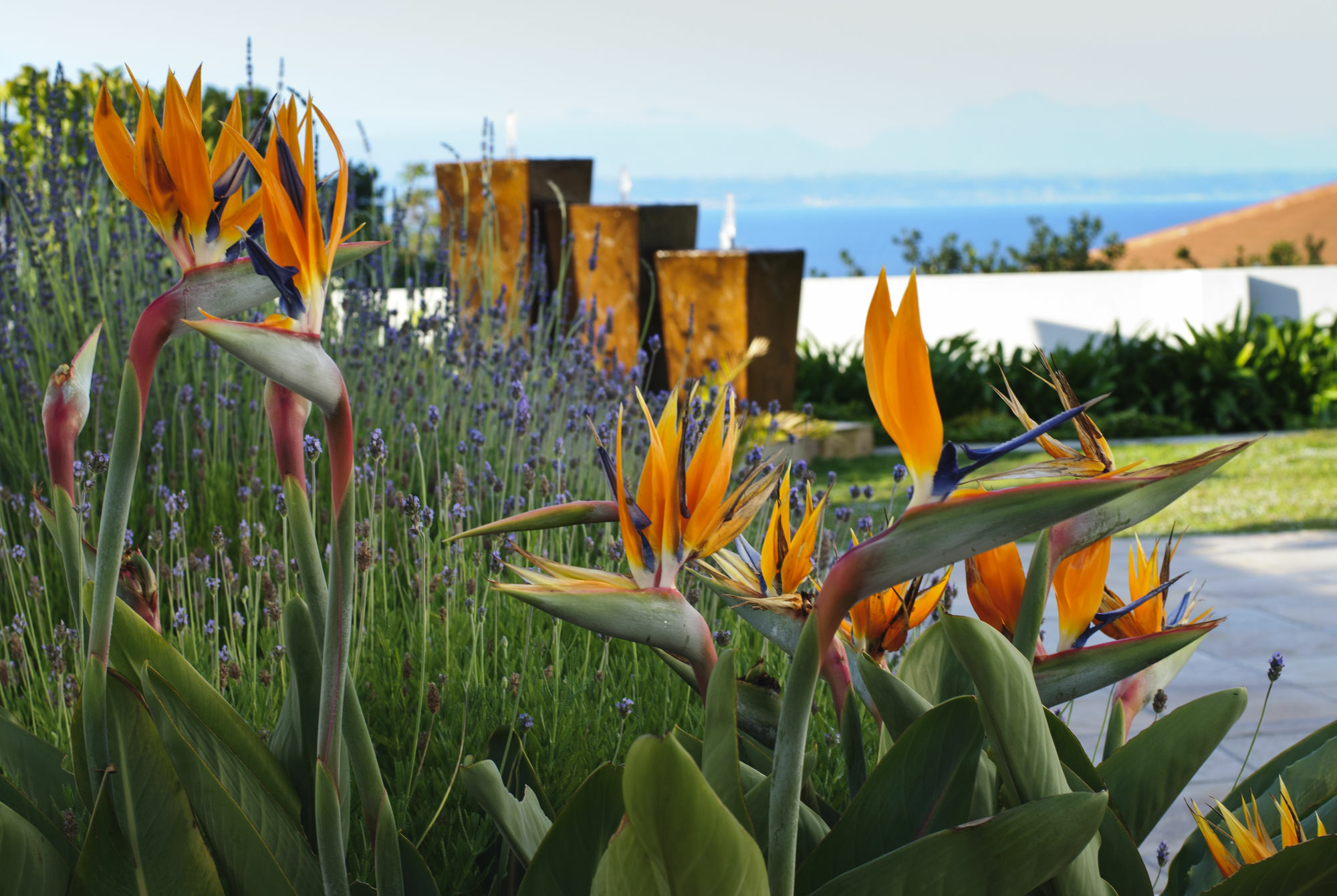 Aquamarine Guest House Mossel Bay Eksteriør billede