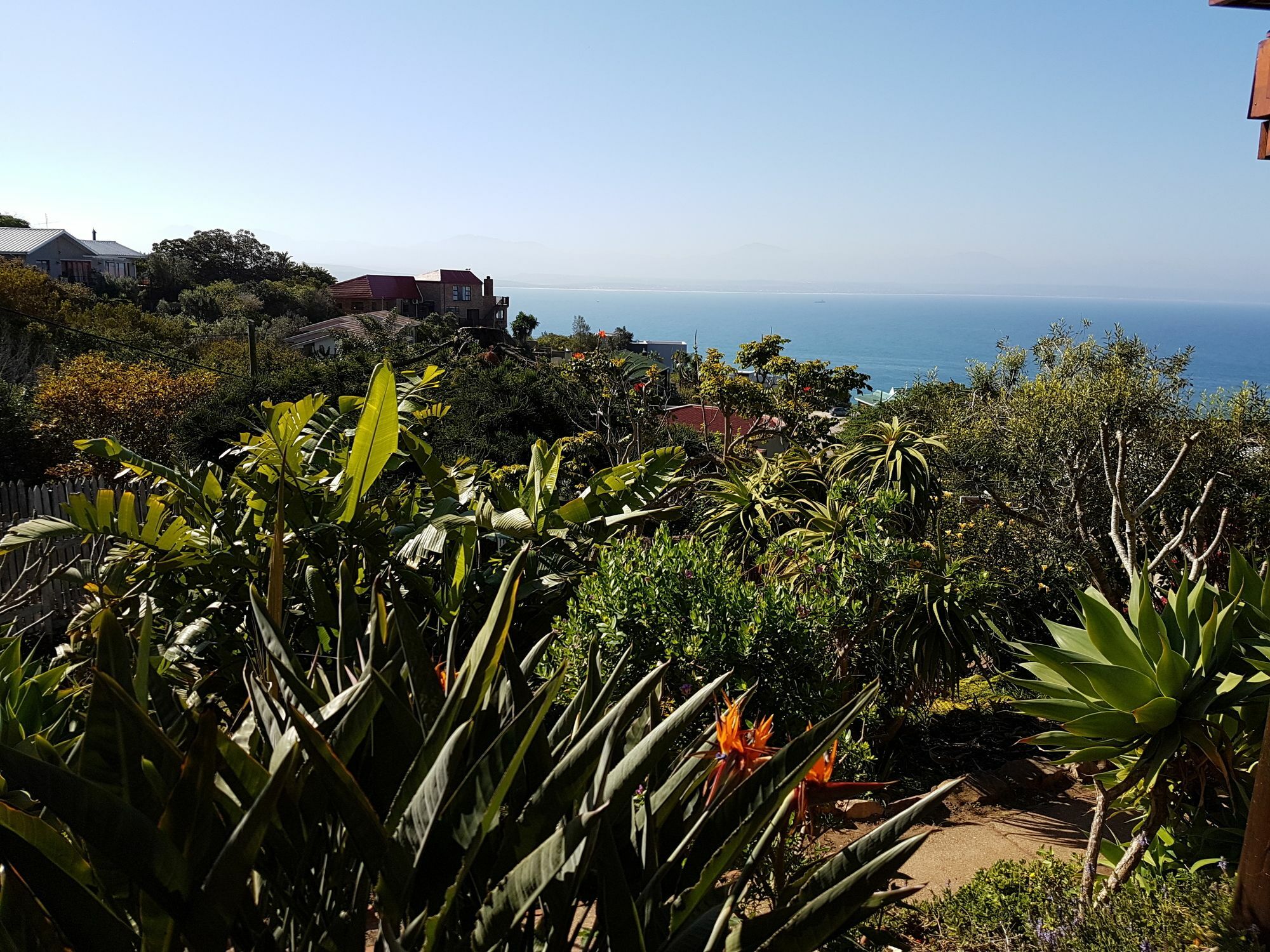 Aquamarine Guest House Mossel Bay Eksteriør billede
